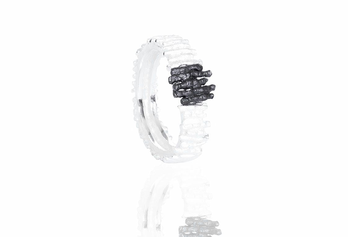 ANILLO DILUVI