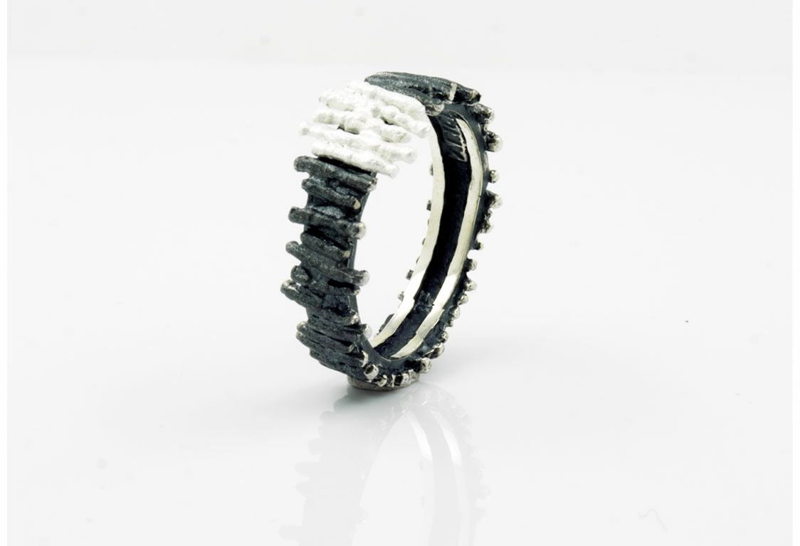 ANILLO DILUVI