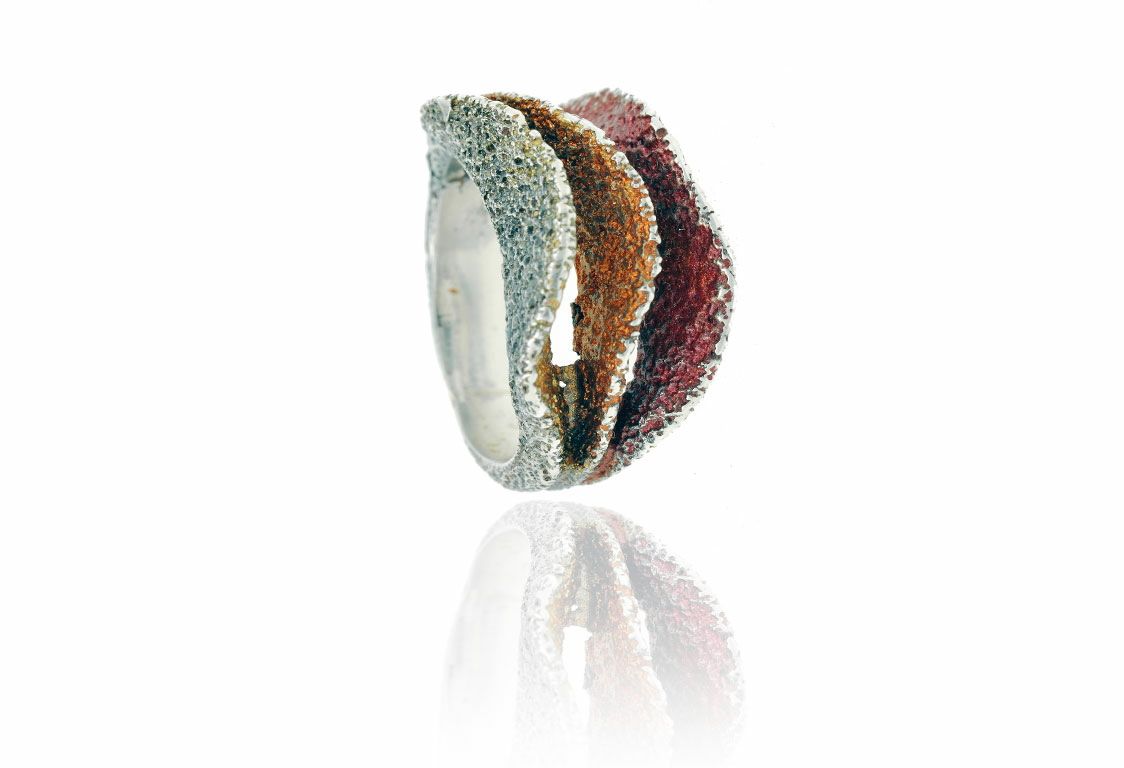 ANILLO TARSO